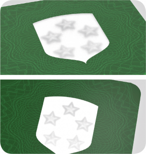 Double FlyEye
