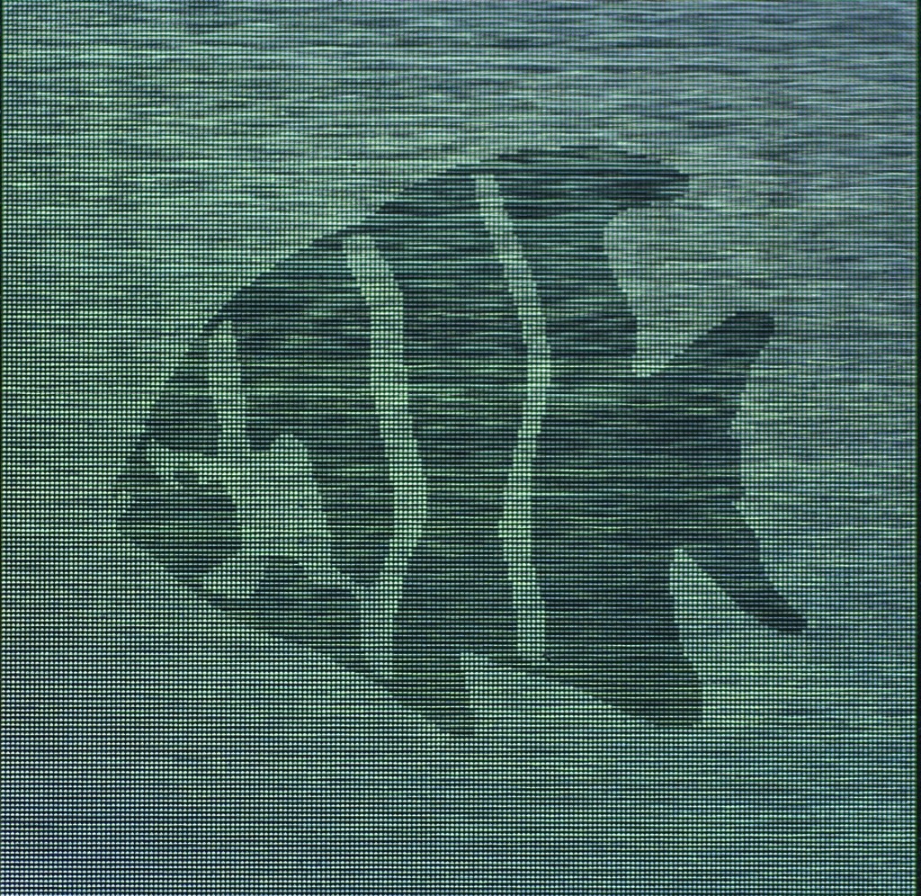 slide image